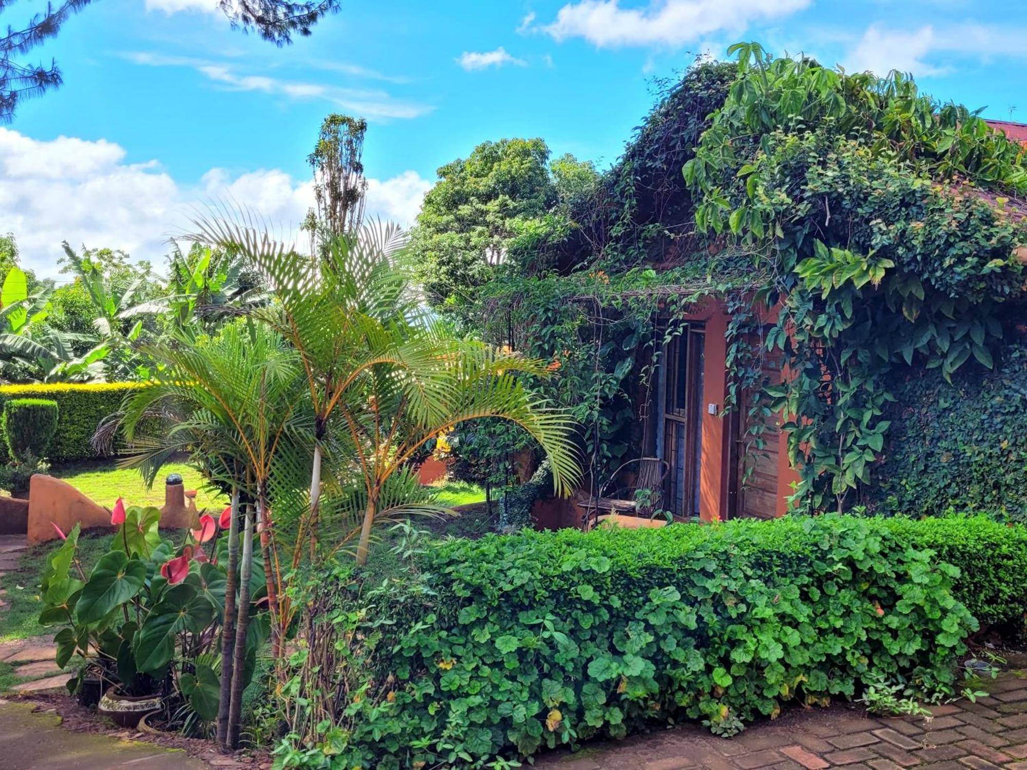 Babylon Lodge Marangu Экстерьер фото